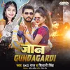 About Jaan Gundagardi Song