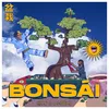 About Bonsái Song