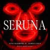About Seruna (feat. James Cole) Song