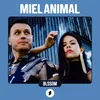 About Shock Sessions: Miel Animal Song