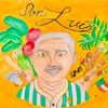 About Don Luís Song