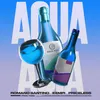 About Aqua Asia Song