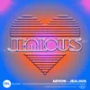 About Jealous Song