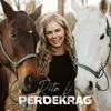 About Perdekrag Song