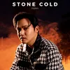 About Stone Cold Song