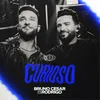 About Curioso (Ao vivo) Song