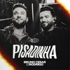 About Pisadinha (Acústico) Song