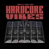 About Hardcore Vibes Song