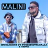 About Malini (feat. TxPMD & Tweestgottahalla) Song