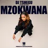 About Mzokwana (feat. Sims Noreng) Song