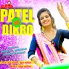 About Patel No Dikro Song