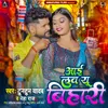 About I Love You Bihari Song