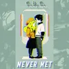 About Never Met (feat. David James) Song