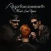 About Replacements (feat. La Roux) Song