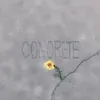 About CONCRETE Song