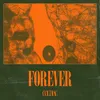 About Forever Song