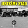 About Jesteśmy stąd Song