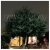 About I Want to Tell You Song