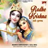 About Radhe Krishna Song