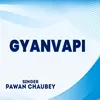 About Gyanvapi Song