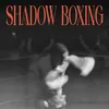 About SHADOW BOXING Song