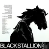 About Black Stallion Song