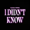 About I Didn't Know Song