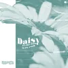 About daisy. Song