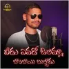 About Veedu Yevado Olamma Bombayi Bullodu (Male) Song