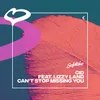 About Can't Stop Missing You (feat. Lizzy Land) Song