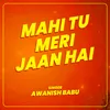 About Mahi Tu Meri Jaan Hai Song