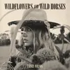 About Wildflowers and Wild Horses (Single Version) Song