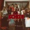 About SCHIZO Song