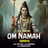 Om Namah Shivaya (Shiva Mantra)