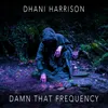 About Damn That Frequency Song