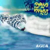 About Agua Song