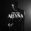 Aleyna (Instrumental)