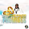 About Promises Song