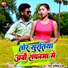 About Tor Surtiya Aabo Sapanma Me Song