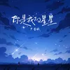 About 你是我的星星 Song