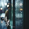 淚花 (DJ豪大大版)