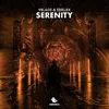 Serenity (Extended Mix)