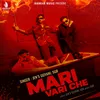 About Mari Vari Che Song