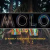 MOLO (feat. Sontshikazi)