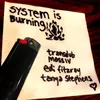 About System is Burning Song