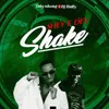 About Shey E Dey Shake Song