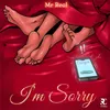 About I'm Sorry Song