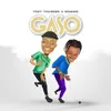 About Gaso (feat Rommie) Song