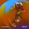 About Yes Or No Song