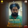 Kanna Mucche (From "Bheemasena Nalamaharaja")